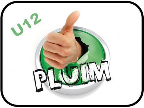 Pluim